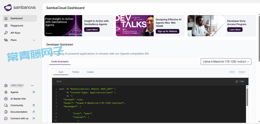 别再自己“炼丹”了！这个黄金API Key，让你直接调用全球顶级大模型